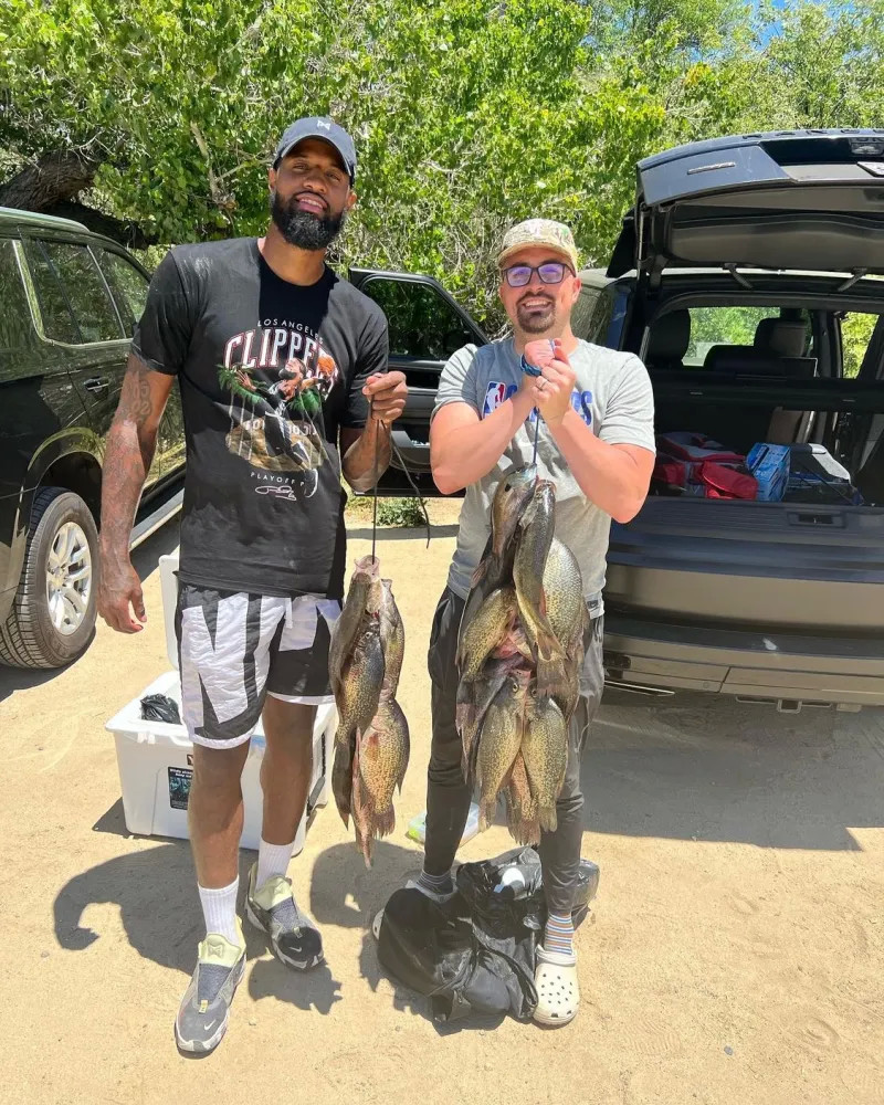 据上的漂亮 据上的漂亮