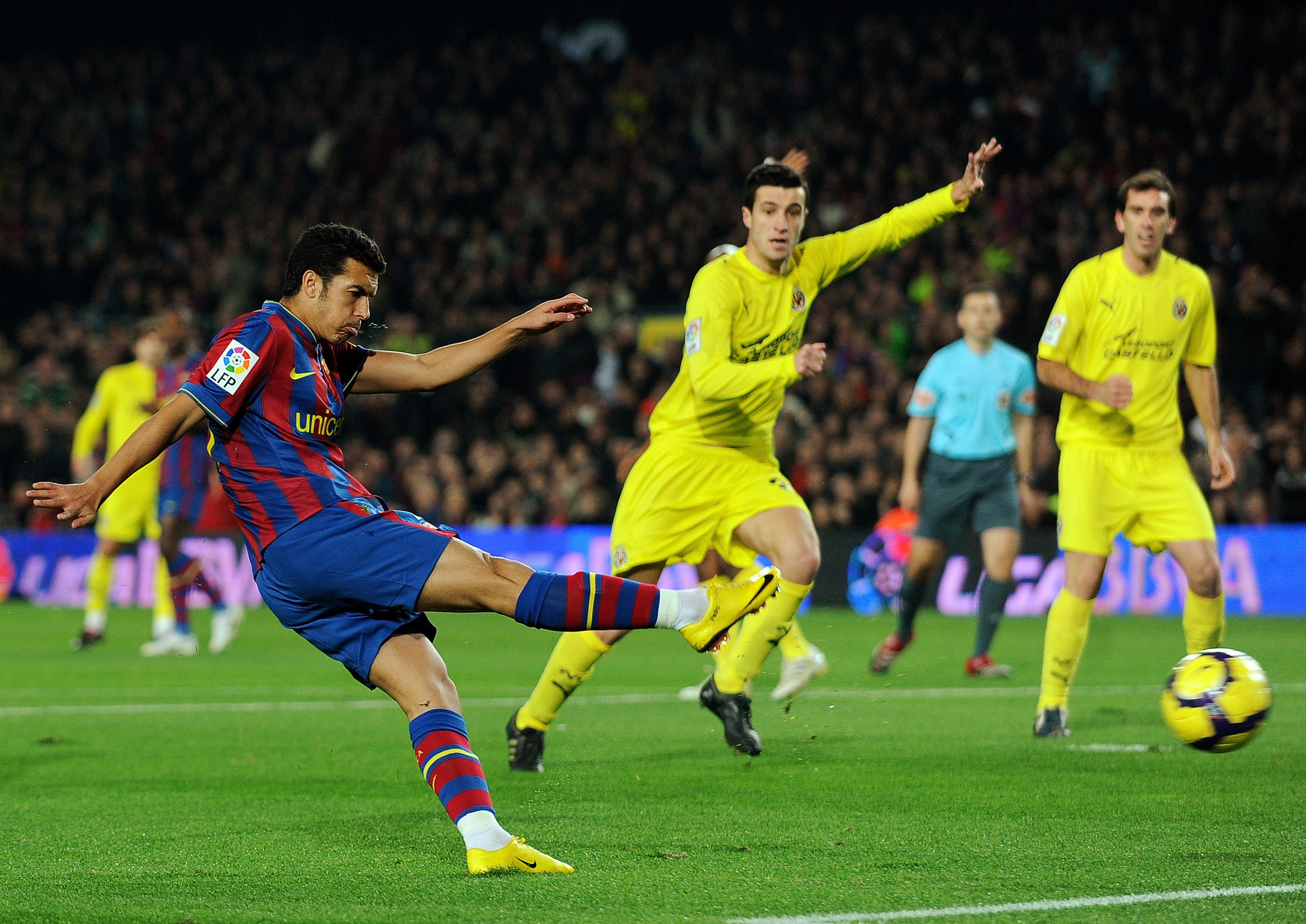 本赛季的赛 本赛季的赛