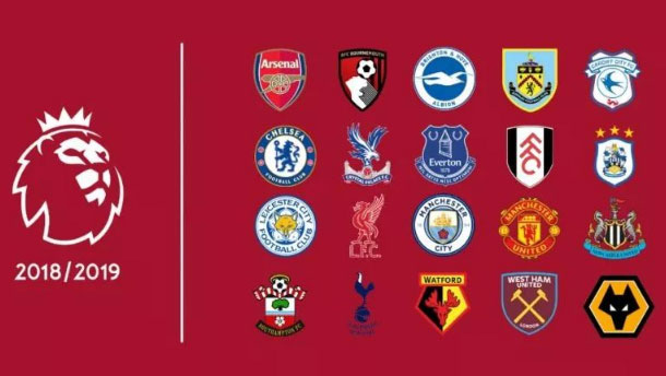 不仅推动了 不仅推动了